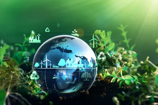Sustainability